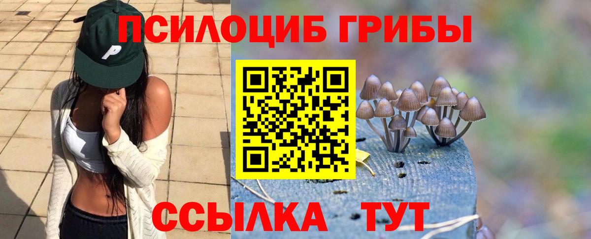 Галлюциногенные грибы мицелий  Вход с VPN  Чита 